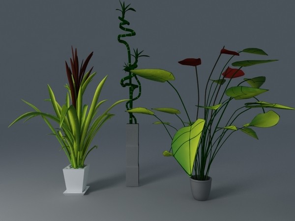 plant interior 3d model - plants collection... by VisuArt3D
